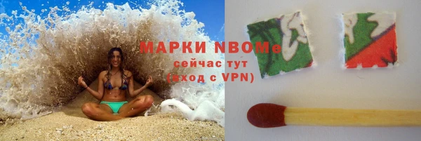 гидра Абаза