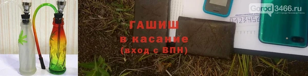 гидра Абаза