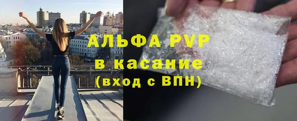 гидра Абаза