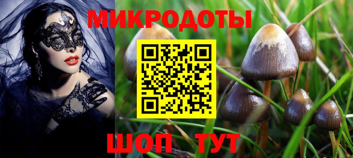 Галлюциногенные грибы MAGIC MUSHROOMS Железноводск