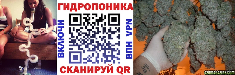 Канабис OG Kush  Железноводск 